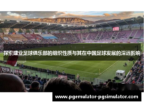 探索建业足球俱乐部的组织性质与其在中国足球发展的深远影响 探索建业足球俱乐部的组织性质与其在中国足球发展的深远影响