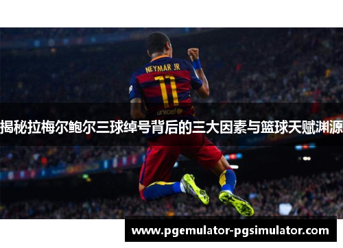 揭秘拉梅尔鲍尔三球绰号背后的三大因素与篮球天赋渊源