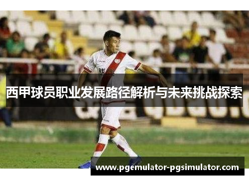西甲球员职业发展路径解析与未来挑战探索 西甲球员职业发展路径解析与未来挑战探索
