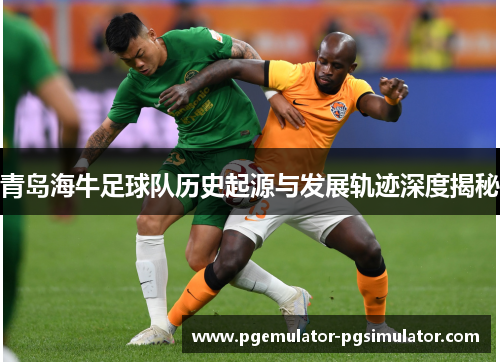 青岛海牛足球队历史起源与发展轨迹深度揭秘
