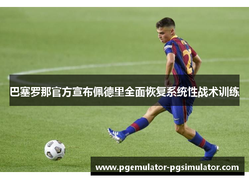 巴塞罗那官方宣布佩德里全面恢复系统性战术训练
