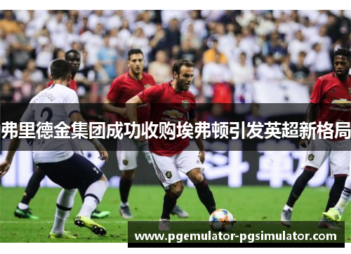 弗里德金集团成功收购埃弗顿引发英超新格局 弗里德金集团成功收购埃弗顿引发英超新格局