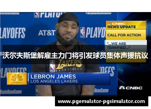 沃尔夫斯堡解雇主力门将引发球员集体声援抗议